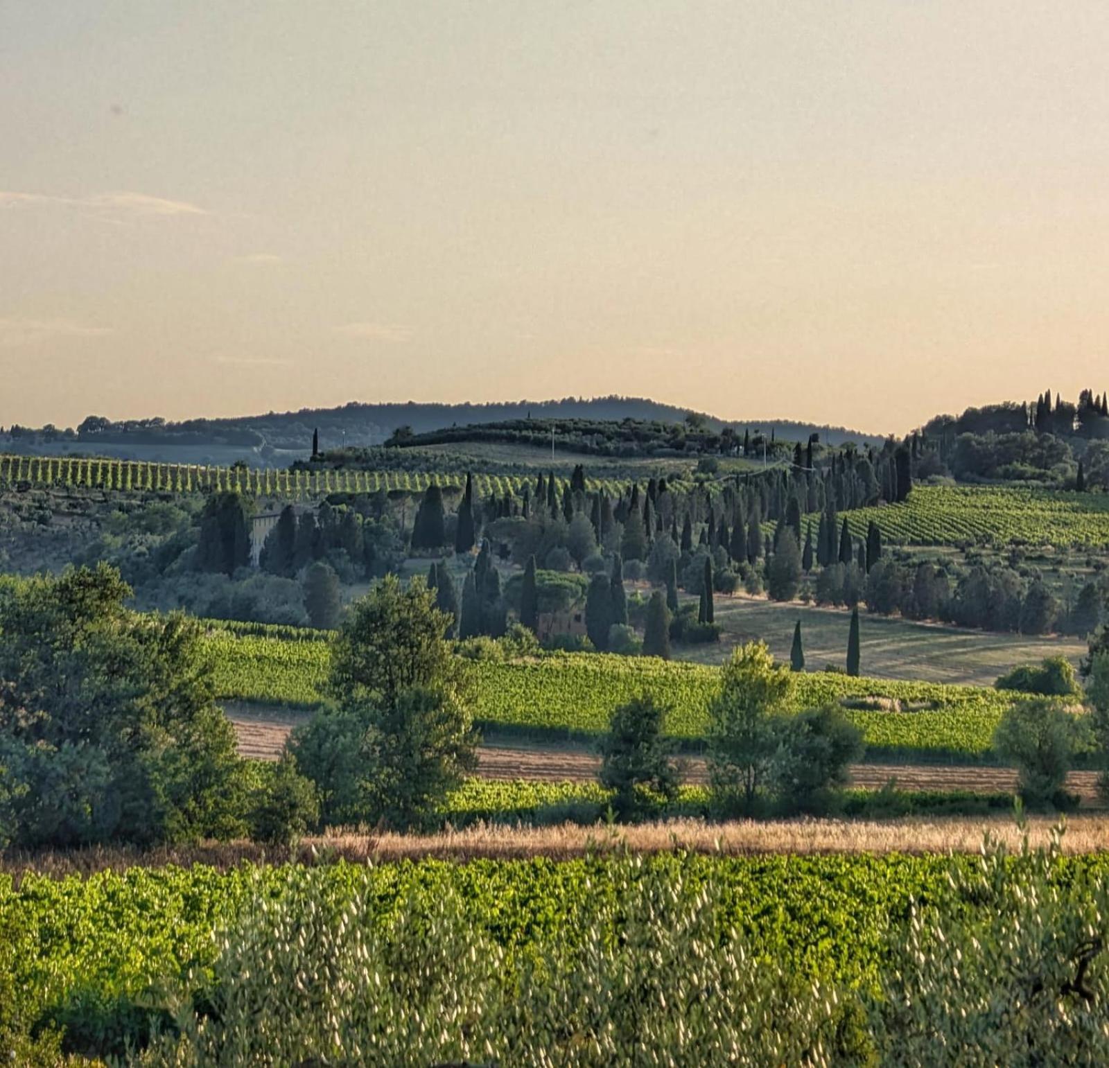 Villa Il Saragio Abbadia di Montepulciano Exterior foto