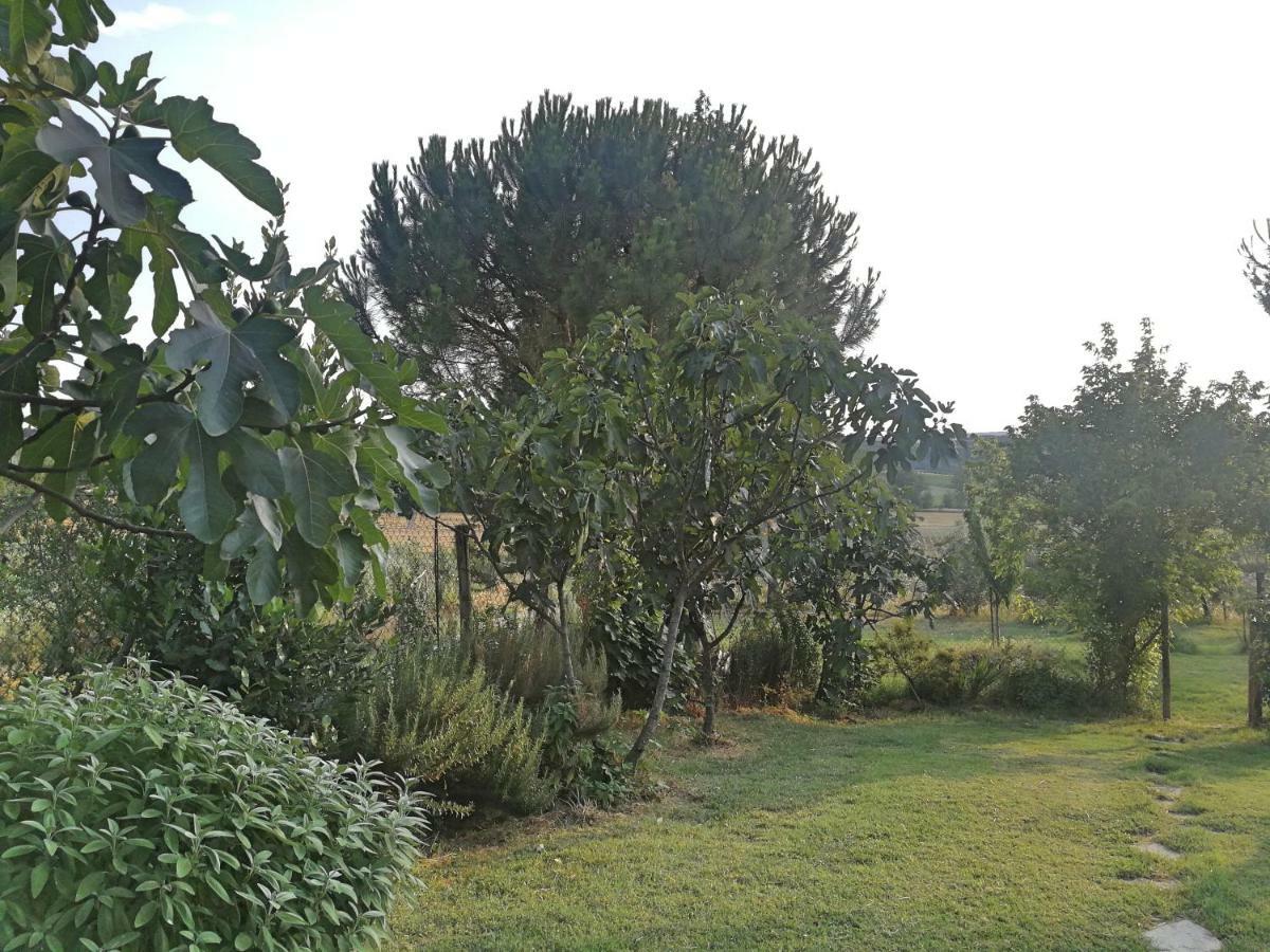 Villa Il Saragio Abbadia di Montepulciano Exterior foto